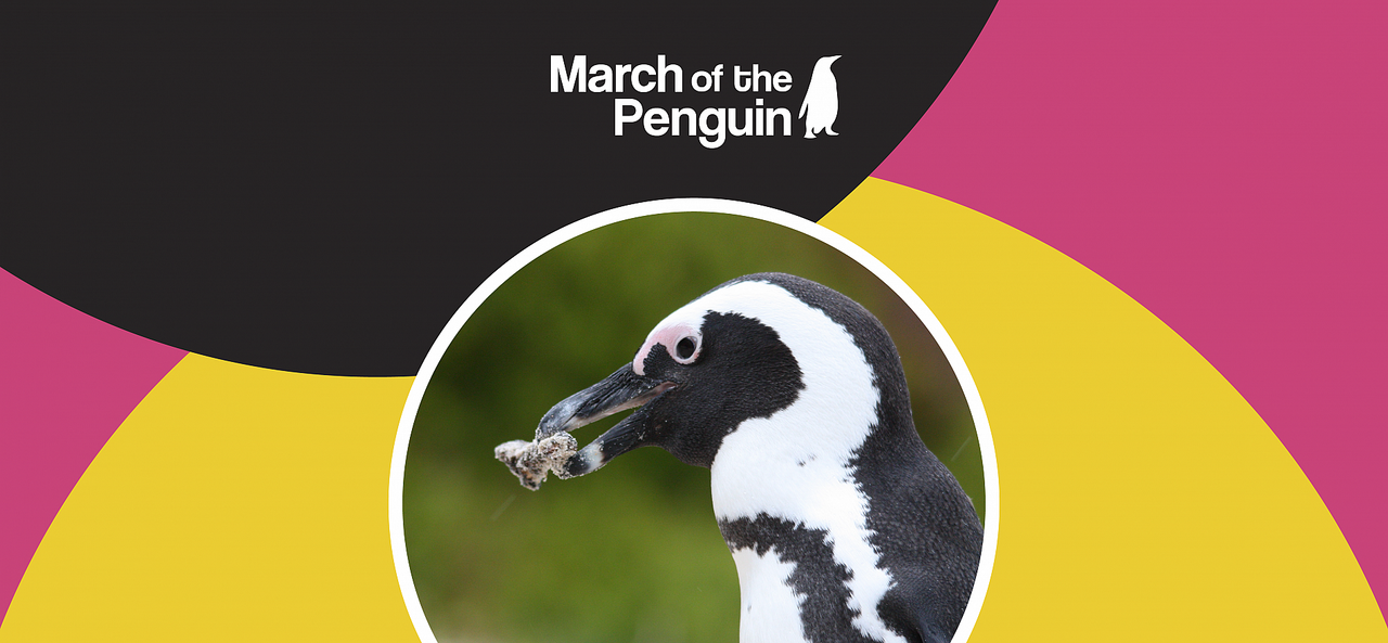 What do penguins eat?