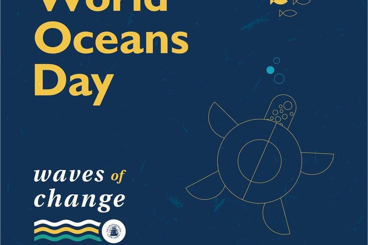 Vandawaterfront 197460657 873598733194013 1684438685740752164 n