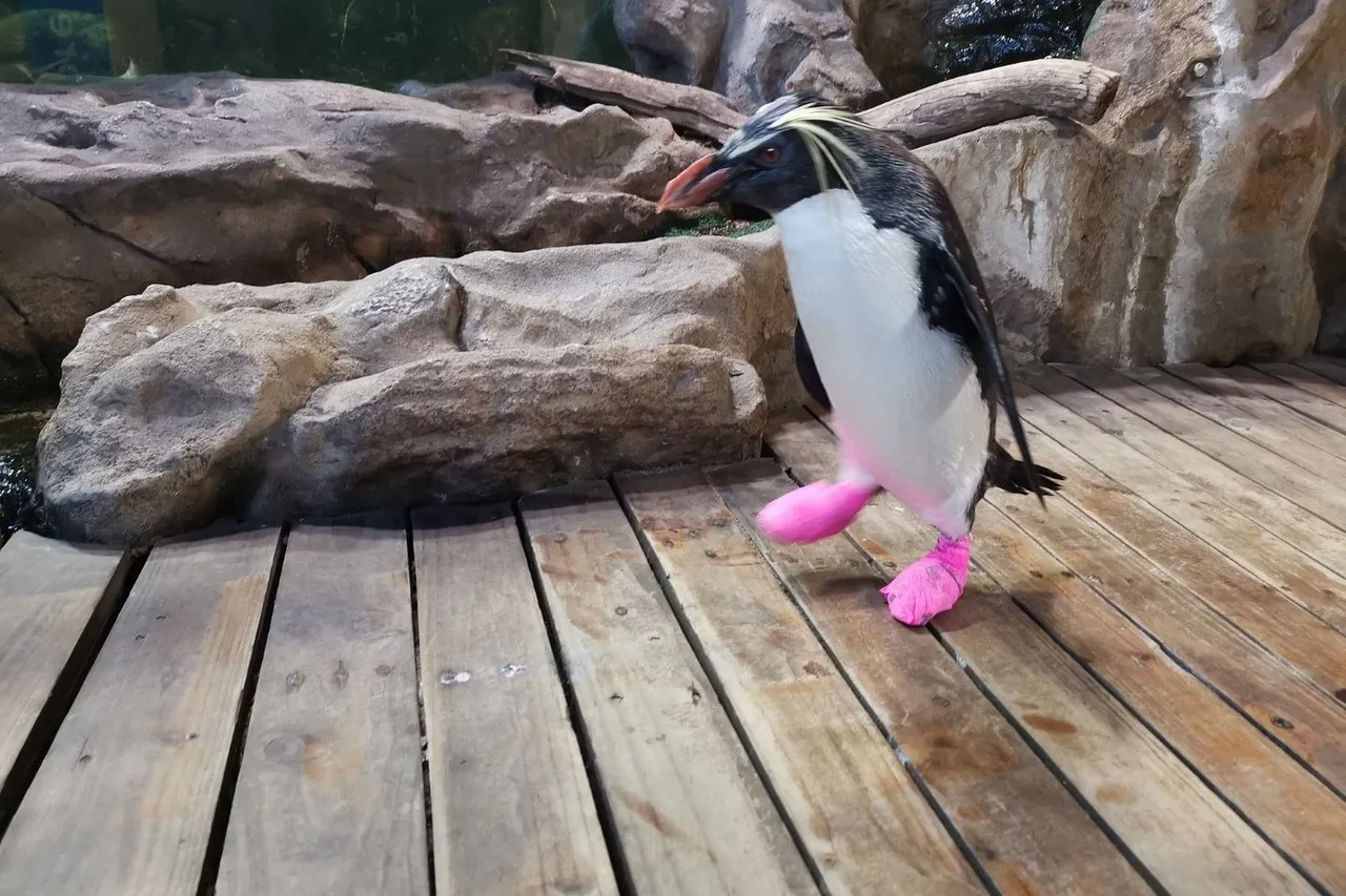 IMG 20210615 123107 1 Large