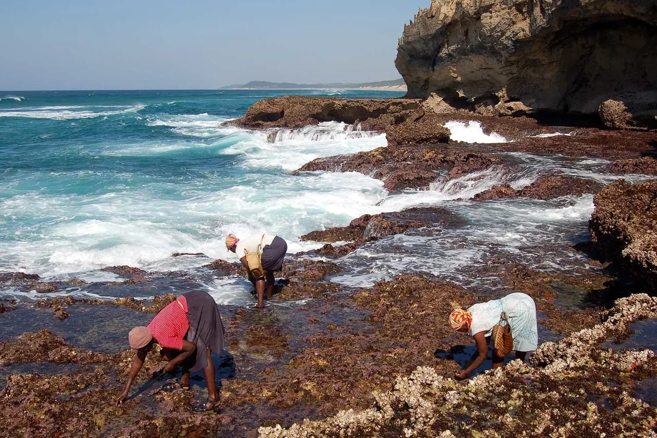 Isimangaliso mpa kerry sink 1 web