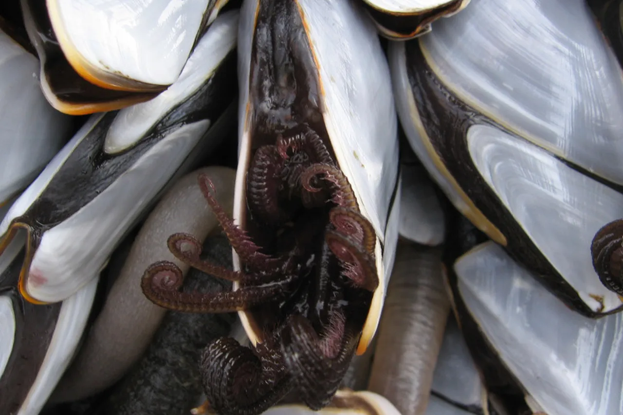 1274190091 ce5492c2d2 o