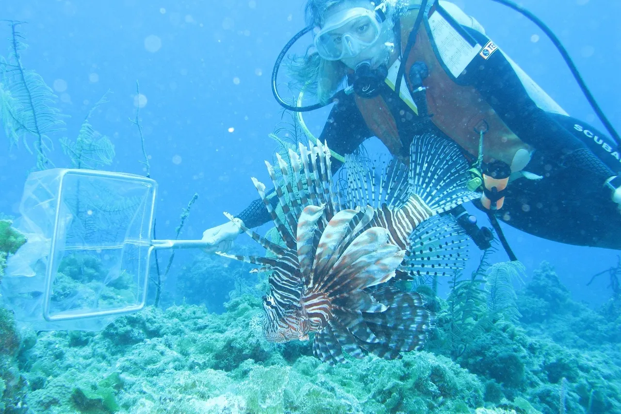 12124142525 2516870c0f o