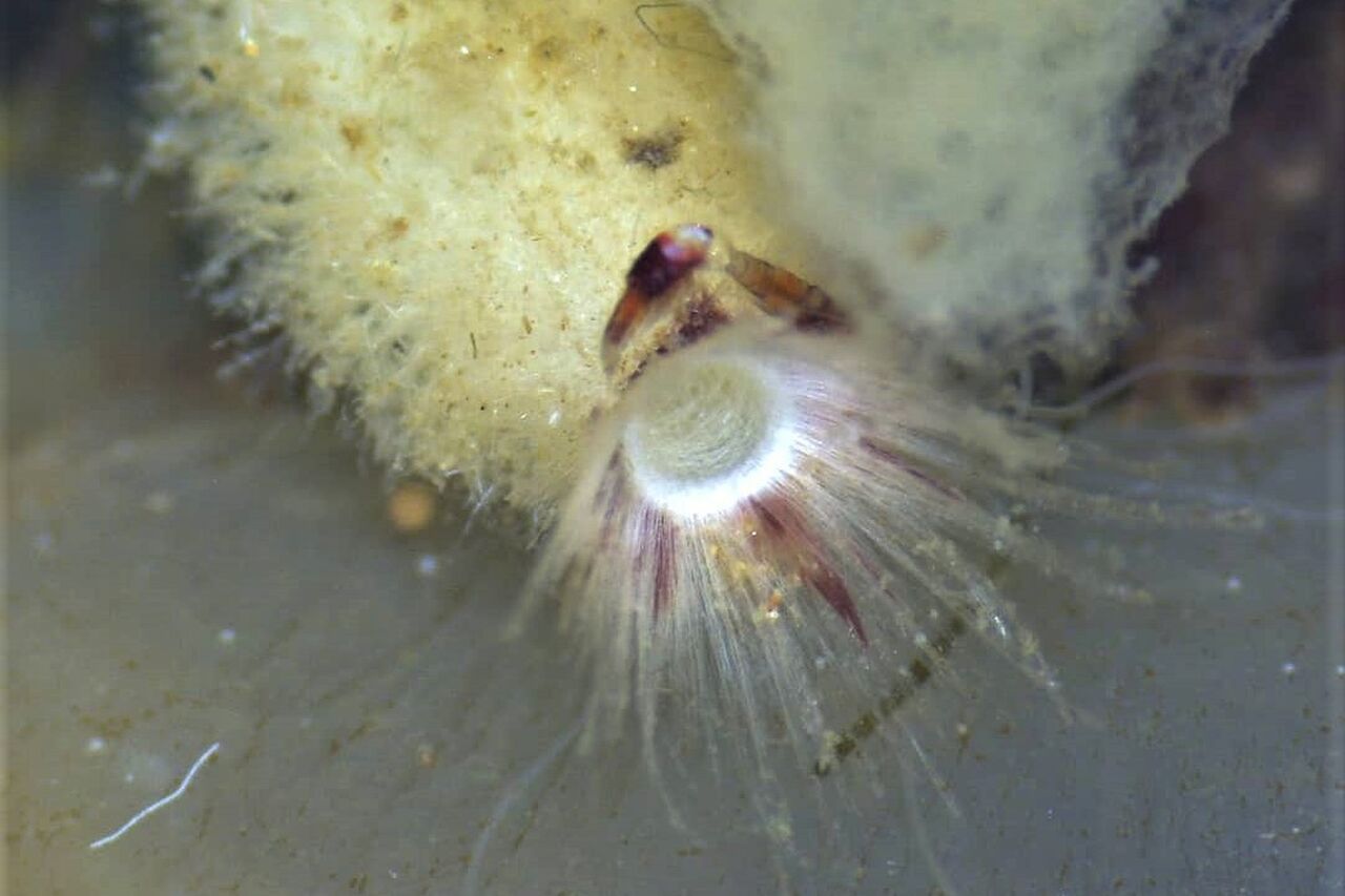 140327352 881745052578743 722445098822602905 o