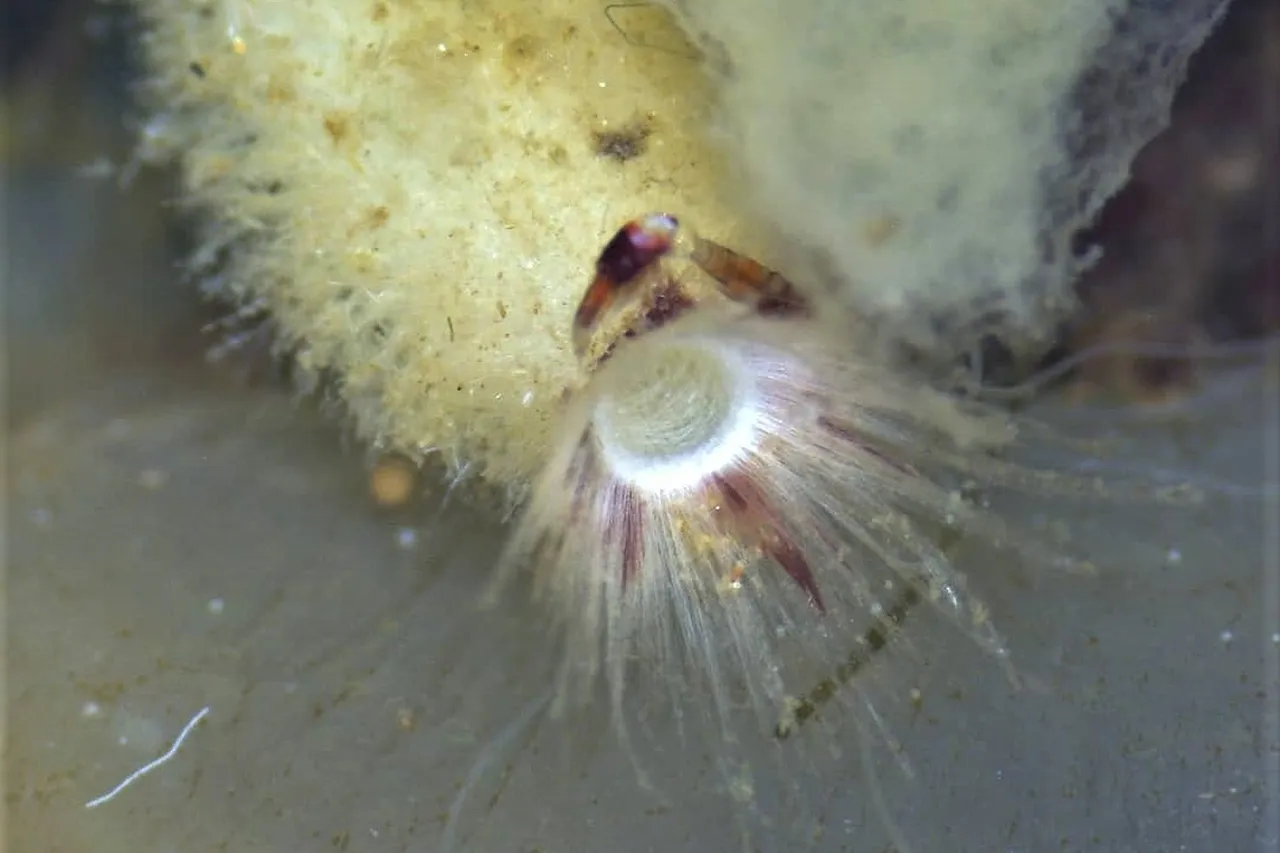 140327352 881745052578743 722445098822602905 o