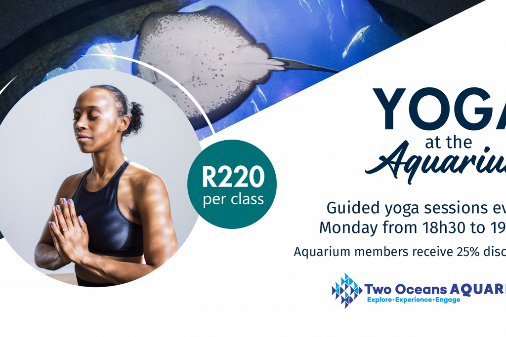 Two Oceans Aquarium Yoga at the aquarium
