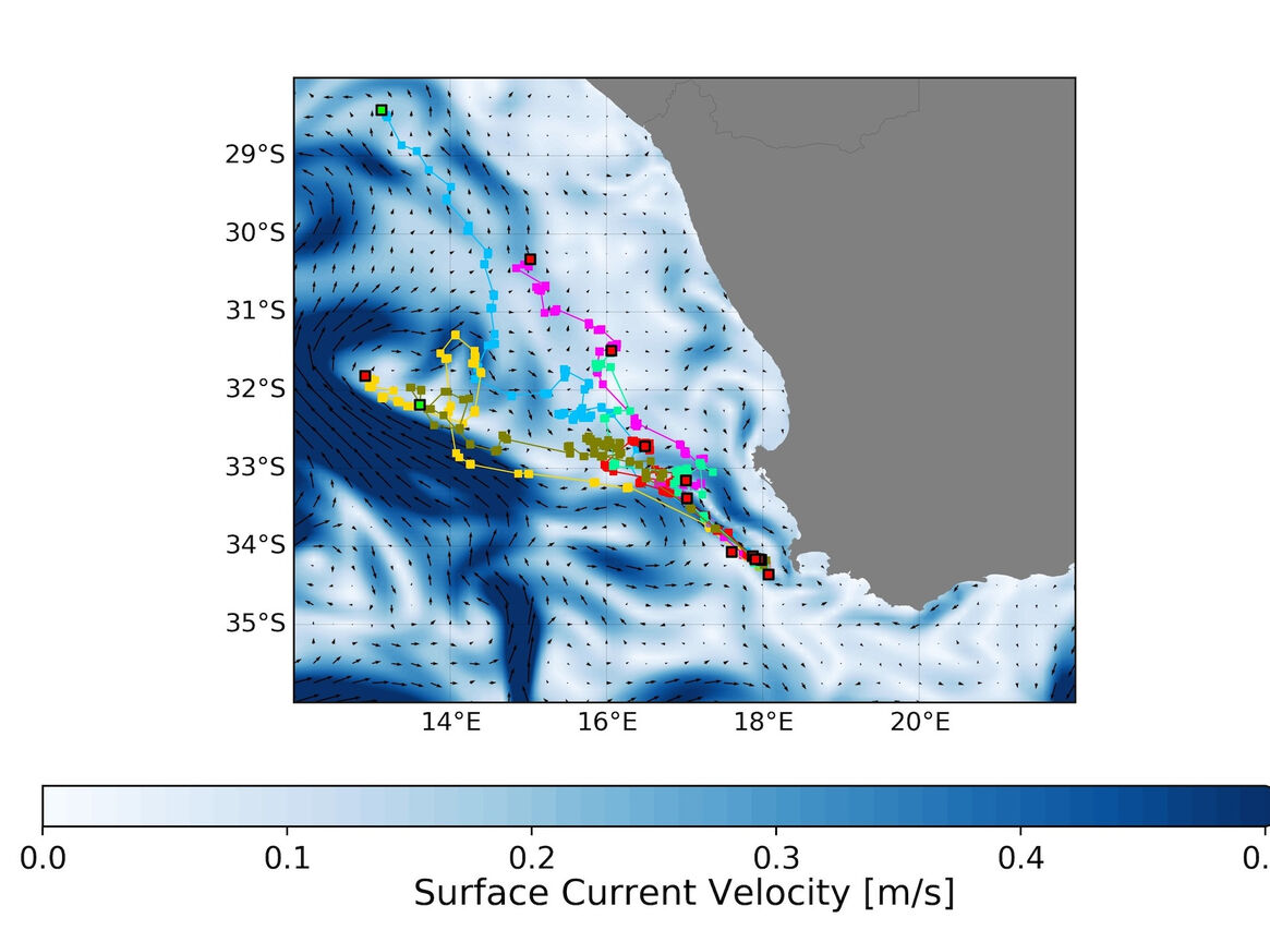 Figure 1 Current velocity Tony Candela Upwell