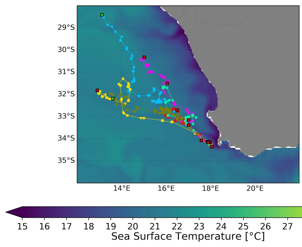 Figure 2 Thermal Tony Candela Upwell