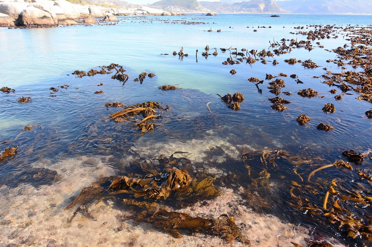 43454223550 ea79ed1186 o