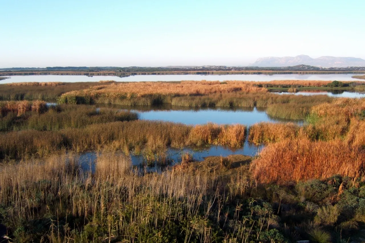 181199087 5dc36d7c00 o