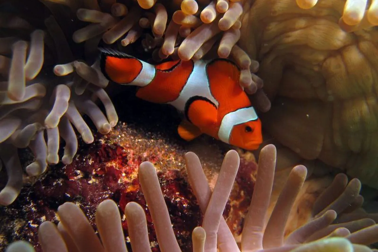 9201132 d104ce2356 o