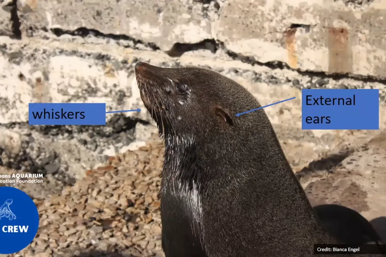 Vlcsnap 2021 04 09 22h06m52s424