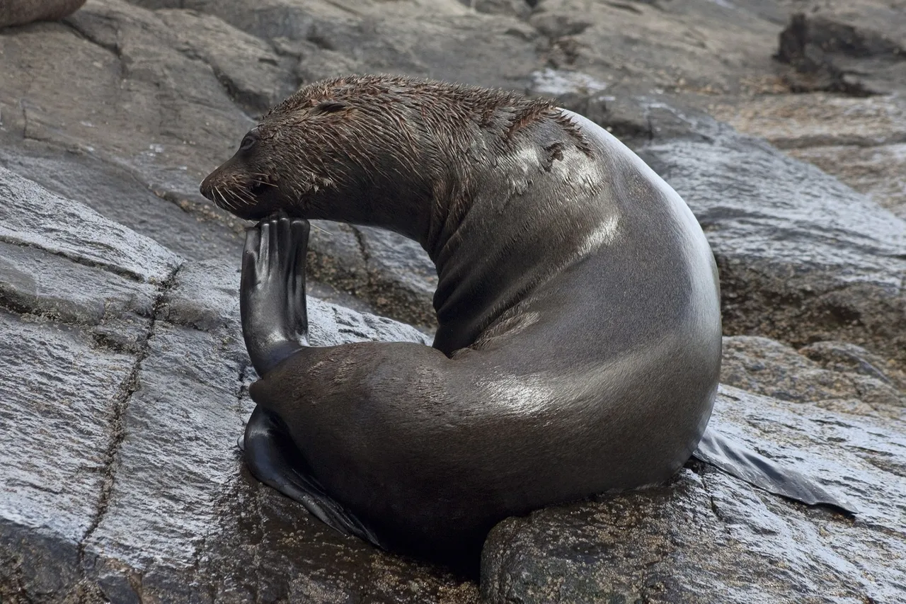 5397634552 75a382b711 o