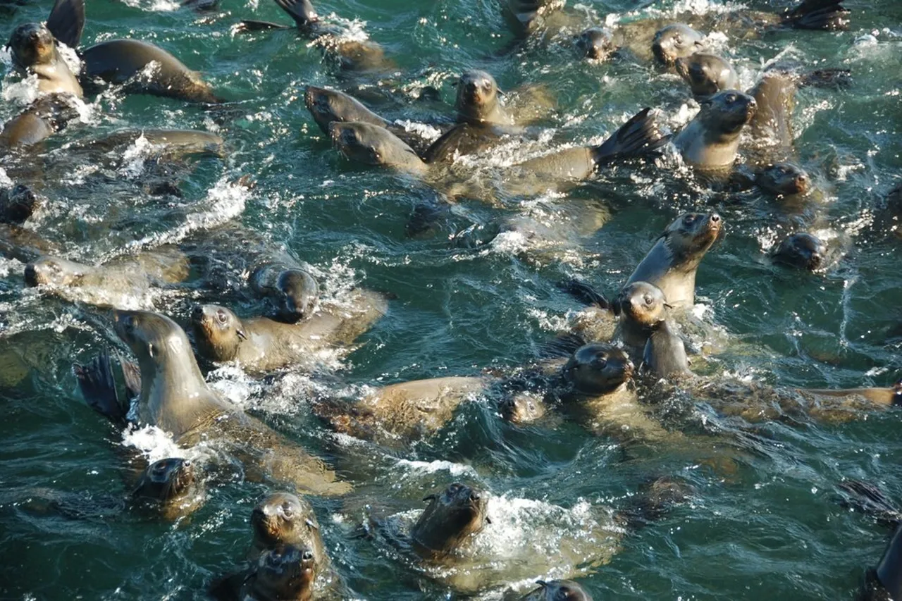 5955565984 a736a0b801 o