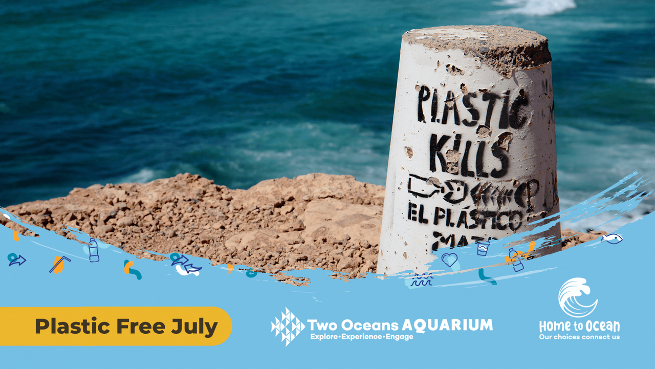 The plastic problem: how much plastic pollution is in our ocean?