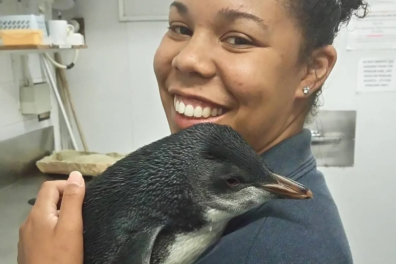 Shanetrutgers 21 9 2017 10 34 51 865