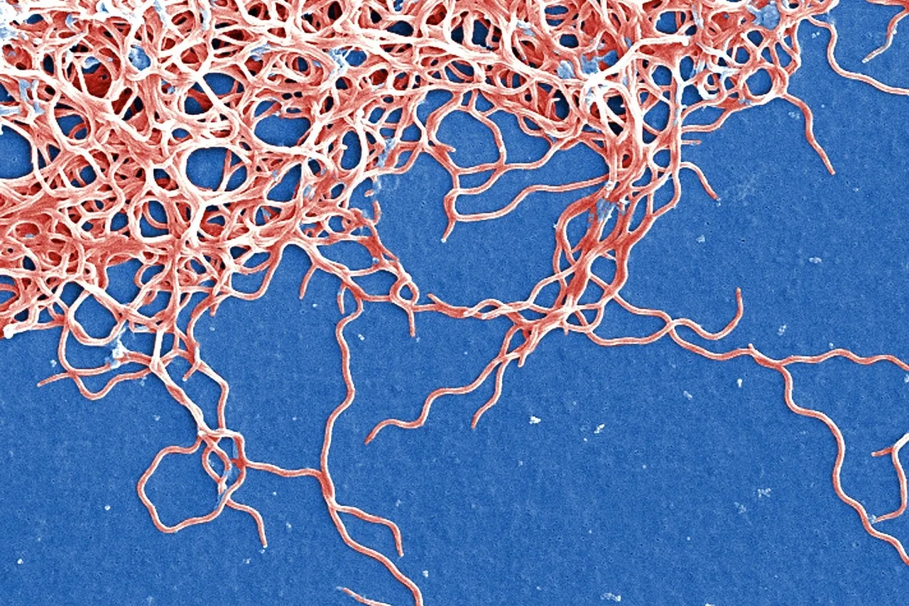 PIXNIO 38518 4252x2890