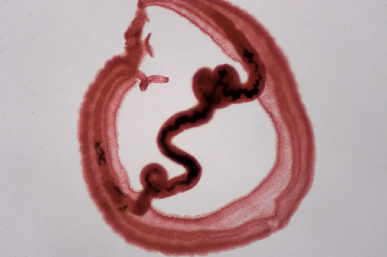 6414501563 f20215e09c o