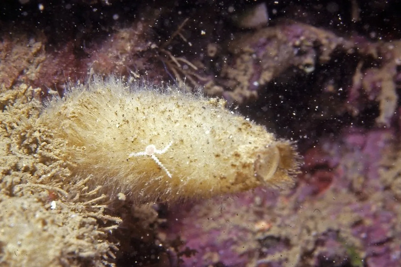 8395832568 c8475dd49d b