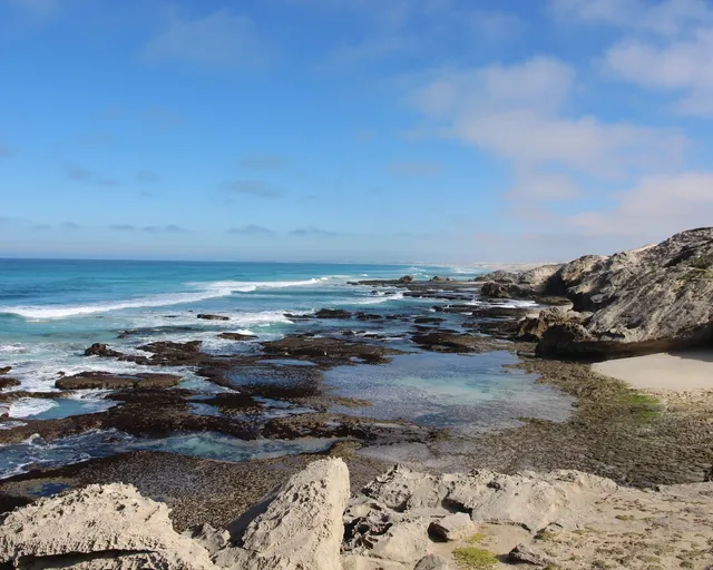 Marine Protected Areas Day
