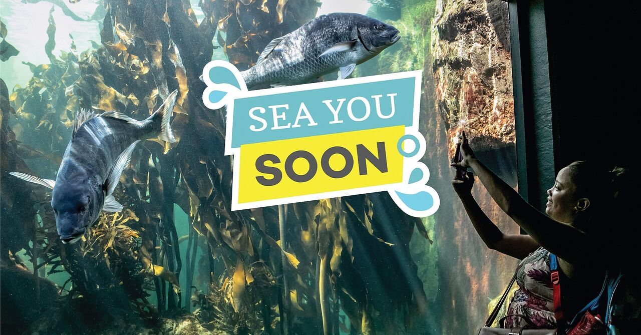 An open letter to our members: our plans, re-opening and the things we miss the most