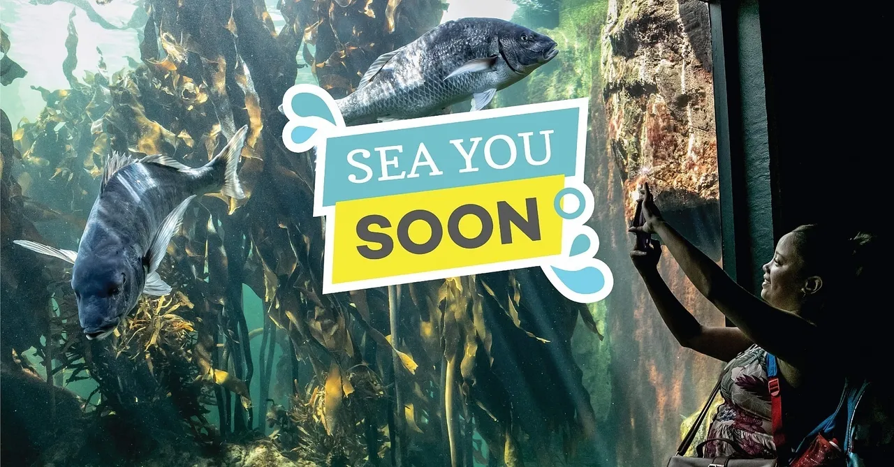 An open letter to our members: our plans, re-opening and the things we miss the most