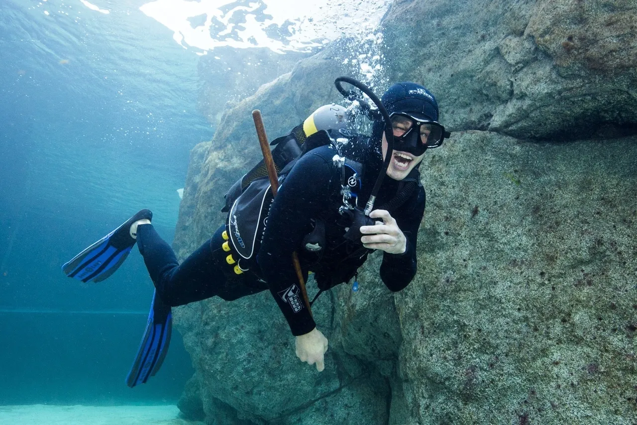 Why do our divers need to wear bright weights?