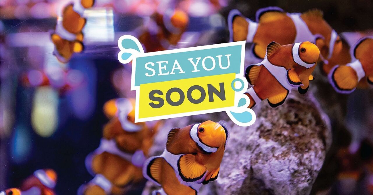 Aquarium memberships and tickets are on sale again!