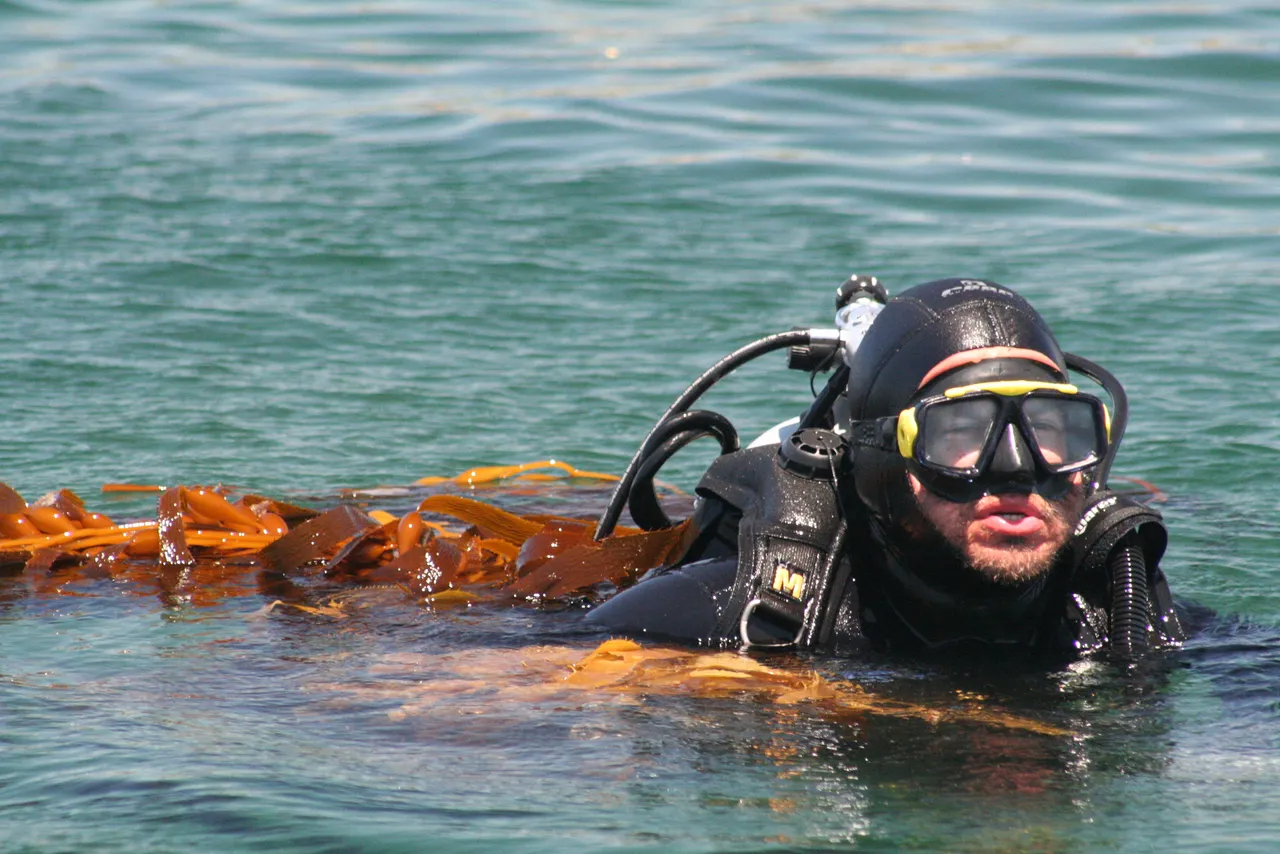 Meet our new general curator, tinus beukes