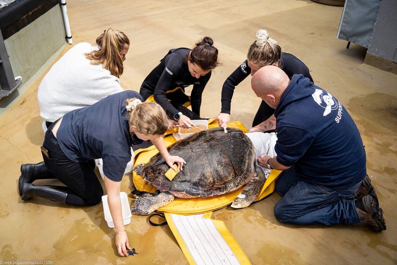 Give the gift that supports marine conservation and education