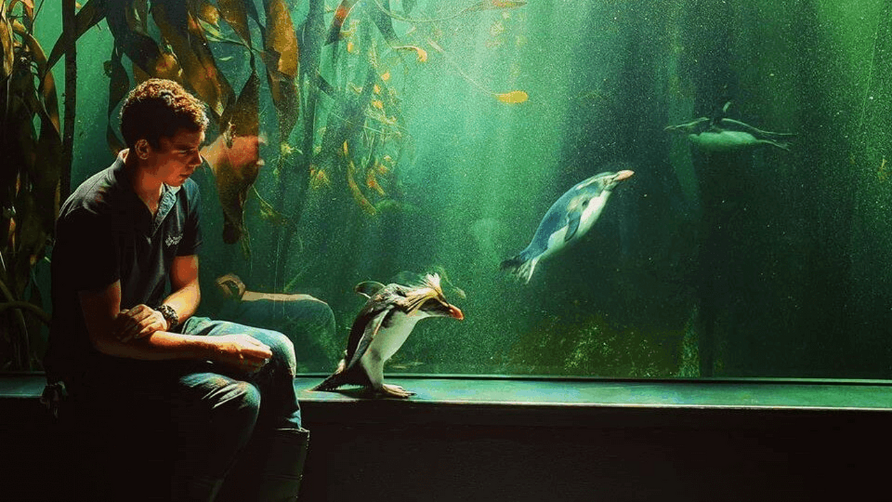 Penguin pick-me-ups!