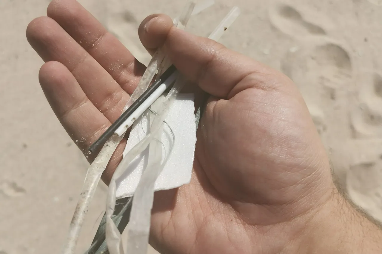 Trash Bash28 Nov2020 14