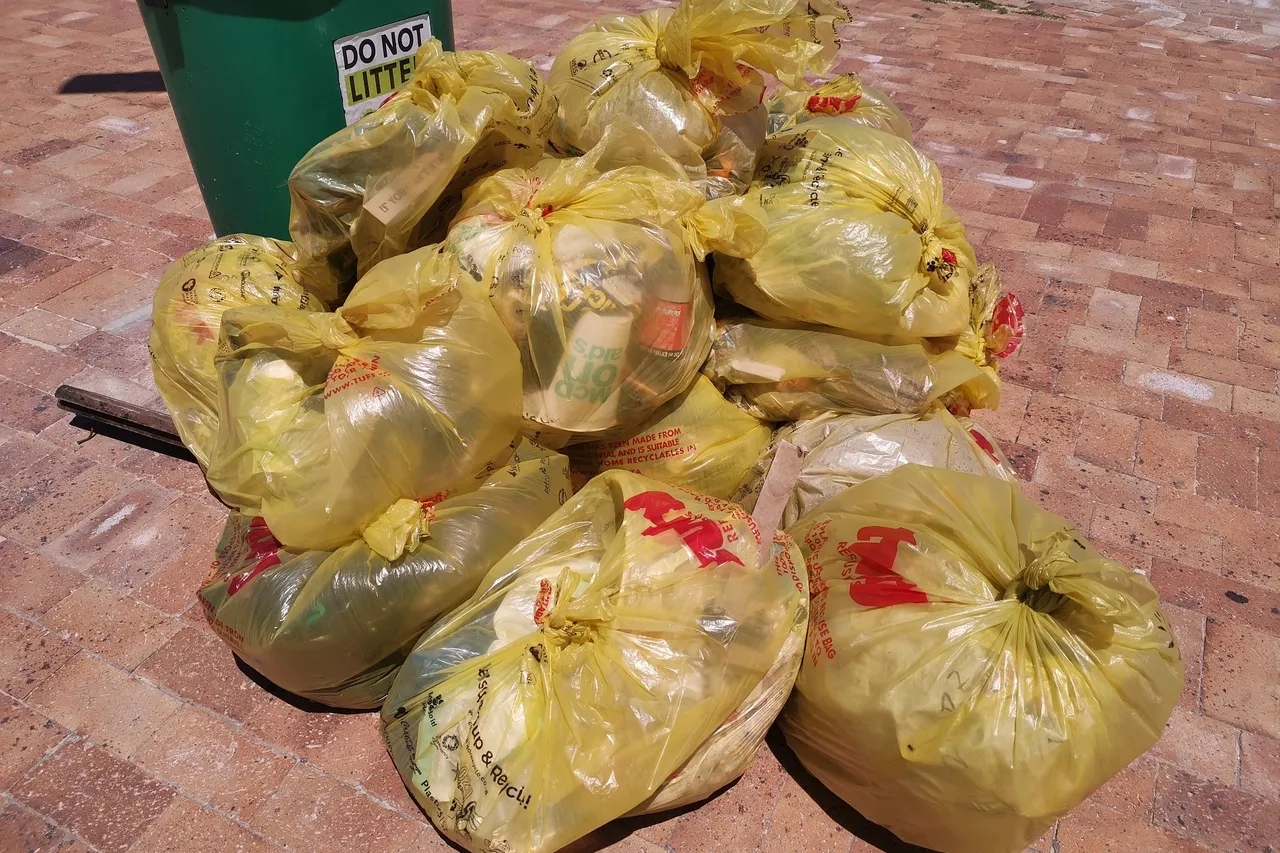 Trash Bash28 Nov2020 16