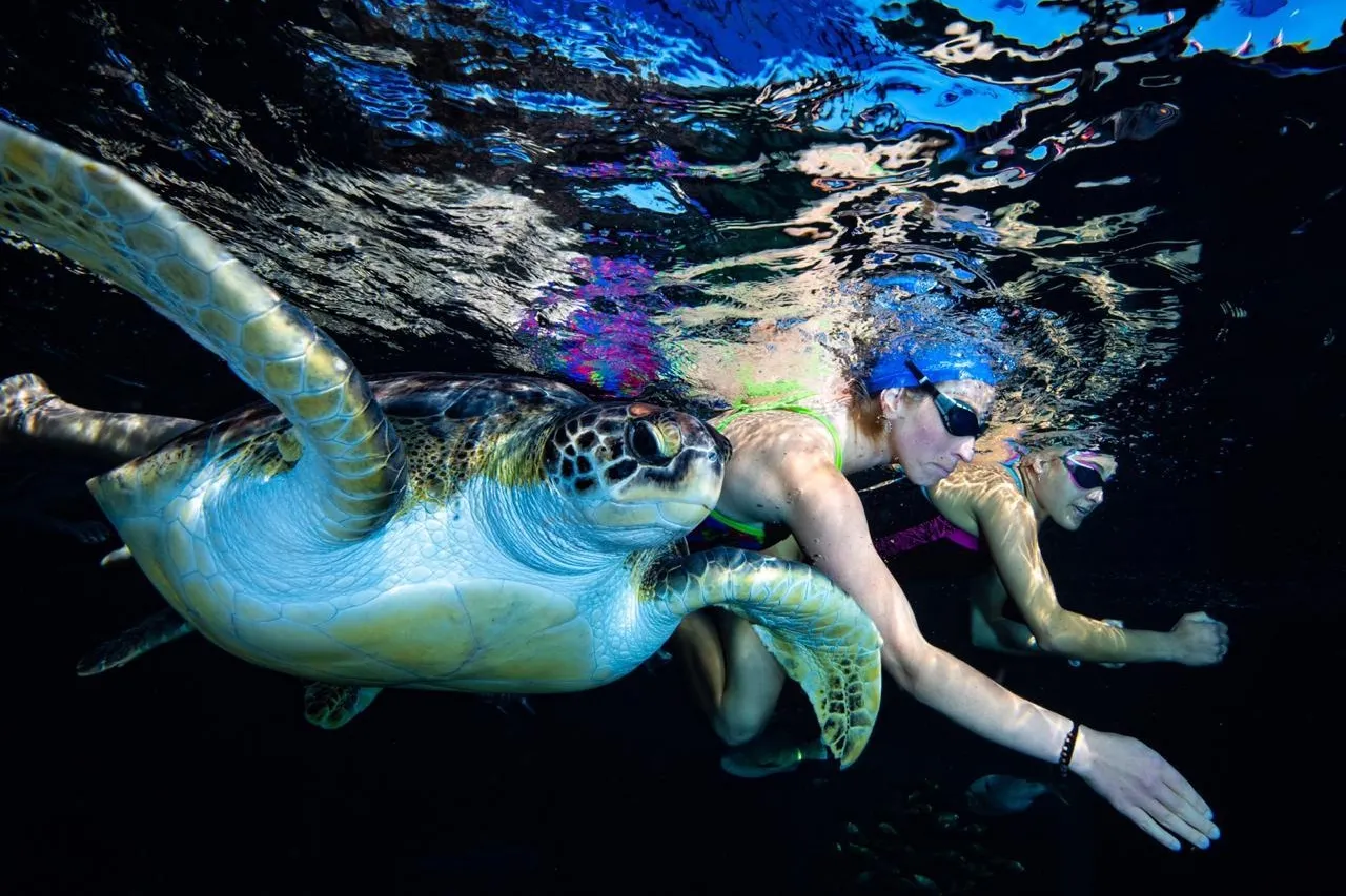 Whats App Image 2020 11 09 at 11 02 49