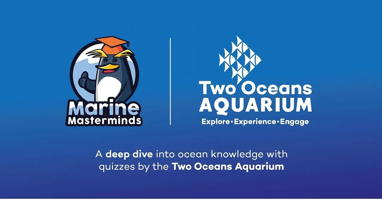Marine masterminds: take the two oceans aquarium quizzes during the lockdown and you could win!