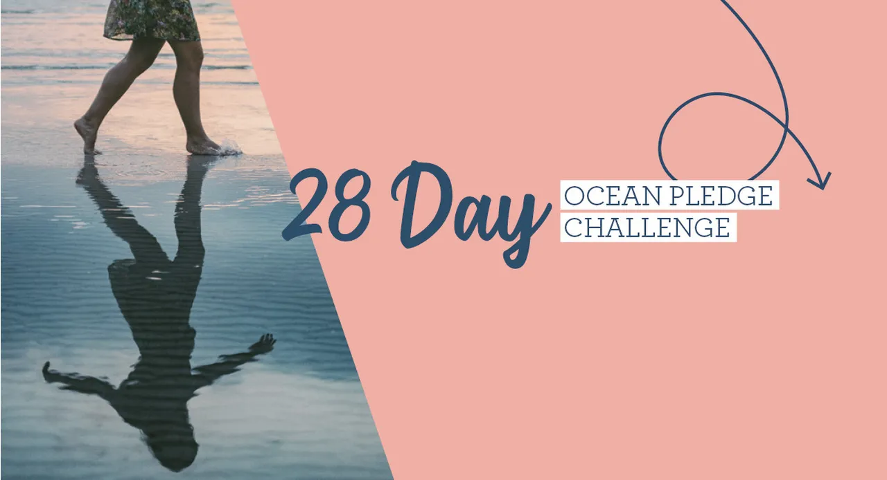 Take the 28 day challenge with ocean pledge and the two oceans aquarium for a healthier and more sus