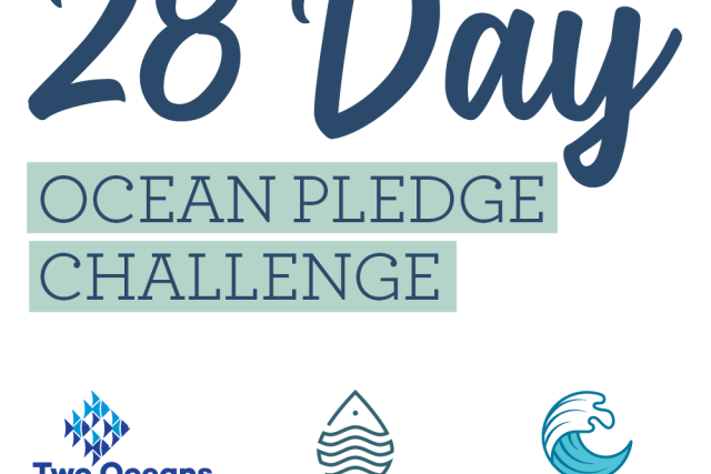 Two Oceans Aquarium Take The 28 Day Challenge With Ocean Pledge And 