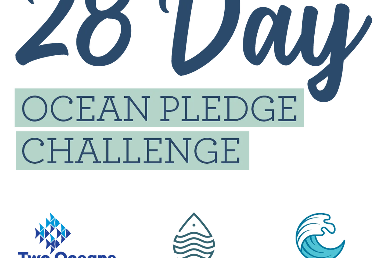 28 Day challenge logo