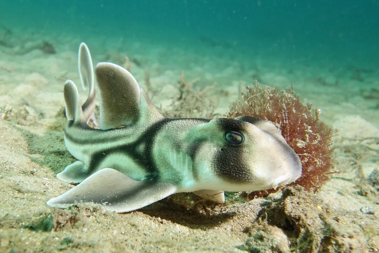 20371031758 ea697ff21b o