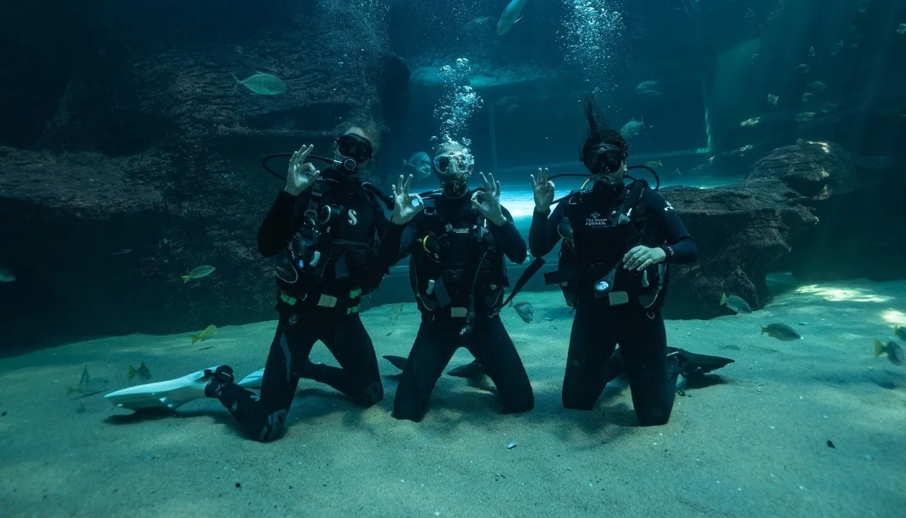 Discover Scuba Diving at the Two Oceans Aquarium