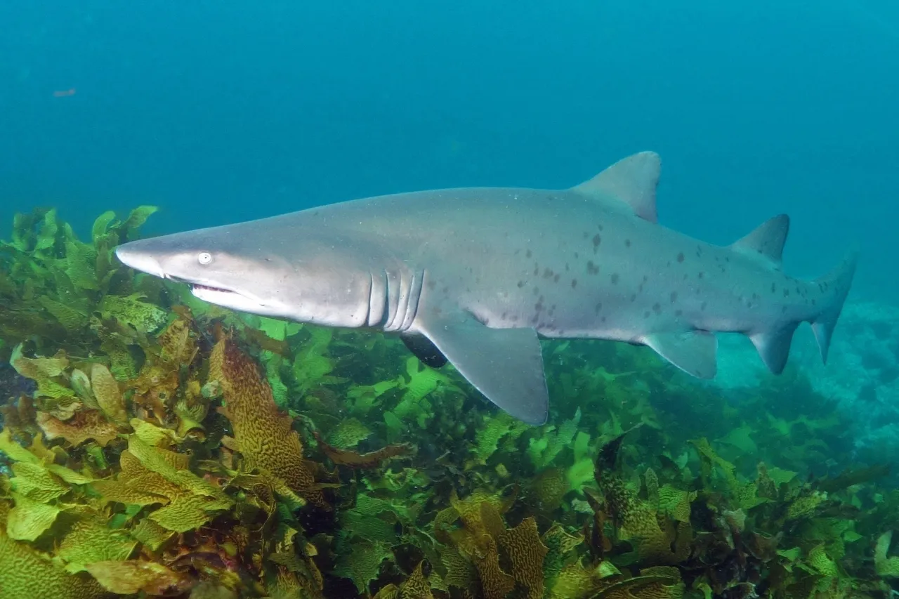 10235937166 be446e6124 o