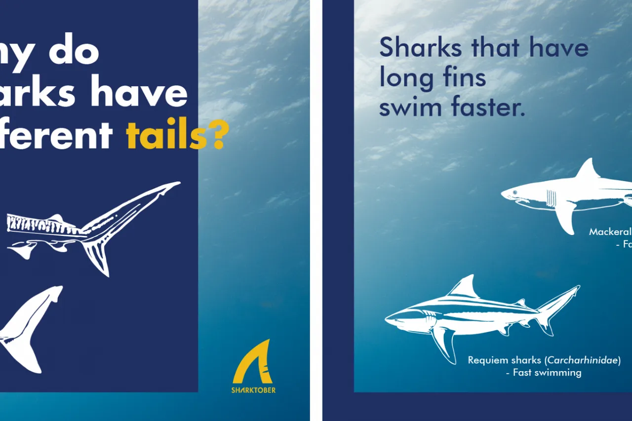 Yellow and White Simple Modern Business Presentation