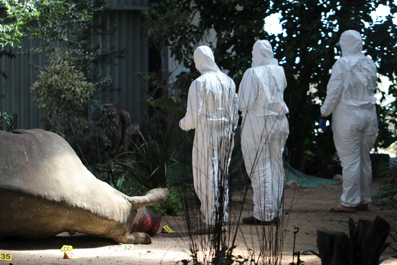 Our Marine Wildlife Management Programme learned more about wildlife forensics!