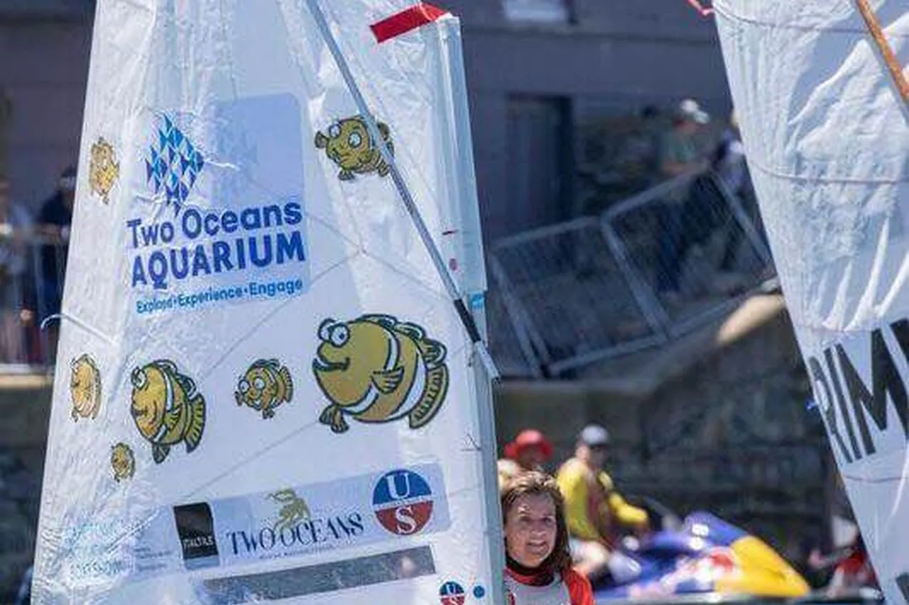 44708827 2205743512995802 8671445920157532160 n