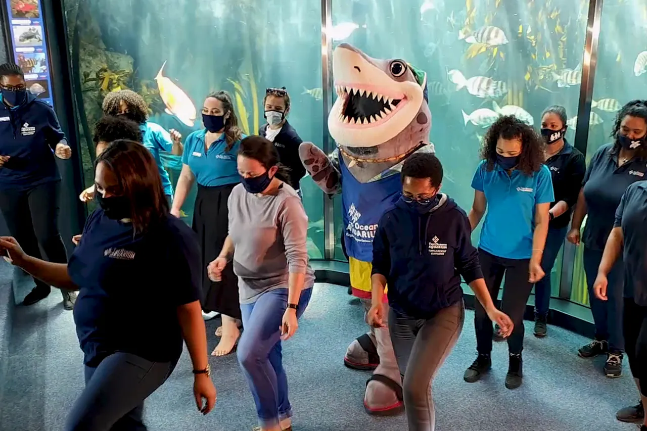 Vlcsnap 2020 09 24 08h25m09s716