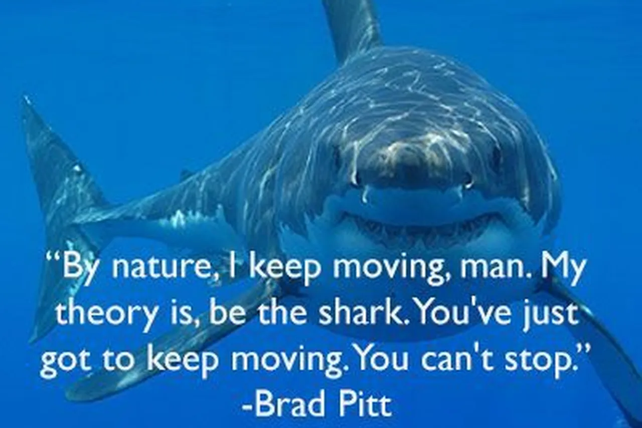 2ba1a093f044863d3ac172dac262c5ba