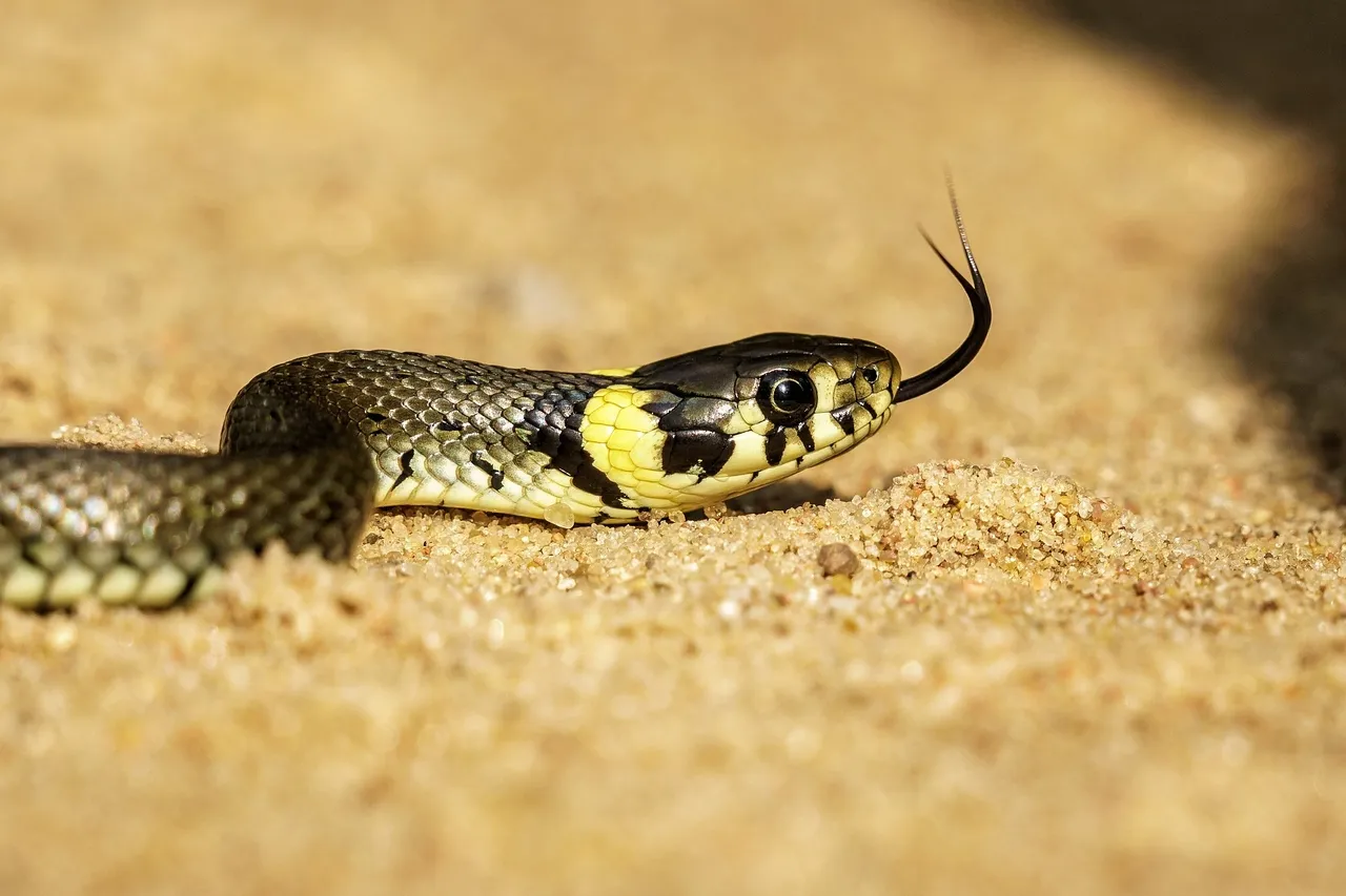 36619677603 6f72c9d4a8 o