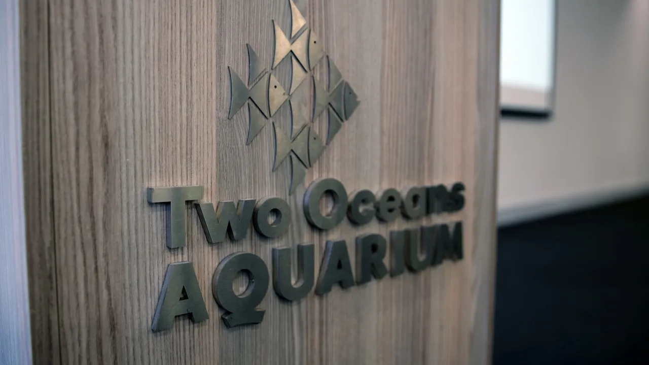 Train your staff at the two oceans aquarium – certified covid-19 workplace training