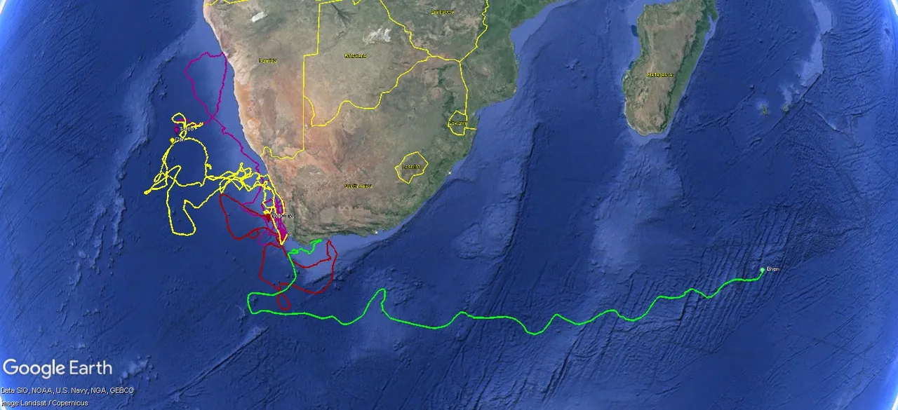Tracking our Turtles: Awesome ocean travellers
