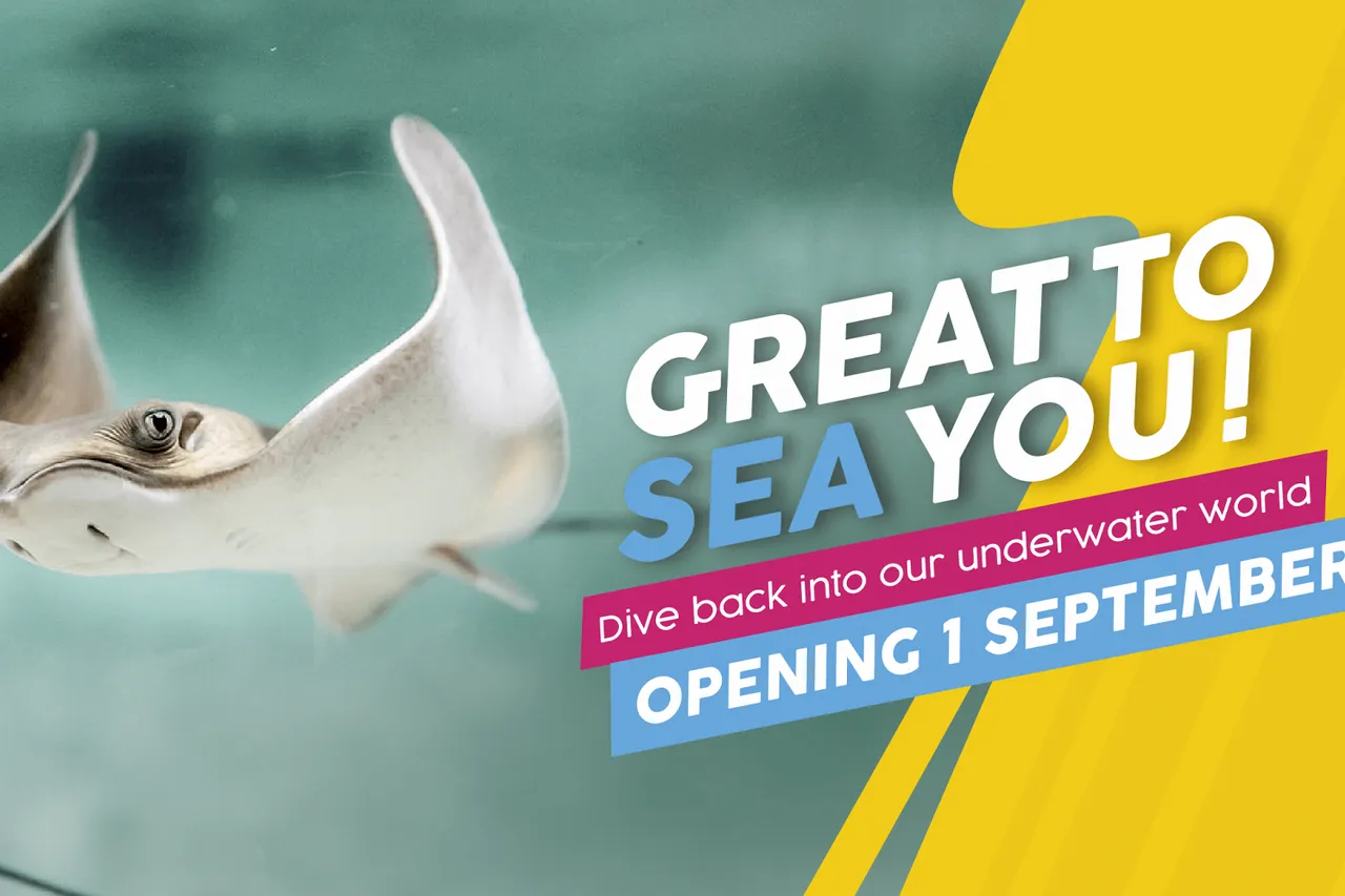 Reopening facebook 11