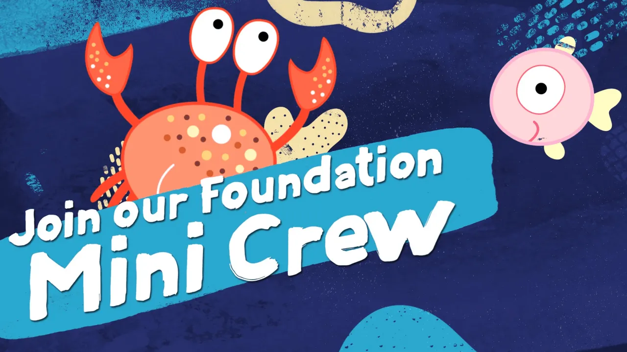 Join the two oceans aquarium education foundation's crew and learn something new!